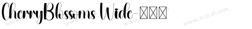 CherryBlossoms Wide字体转换